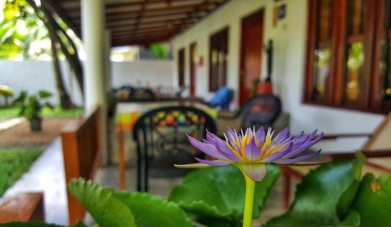 Luvi Lucas River Side Weligama Exterior photo
